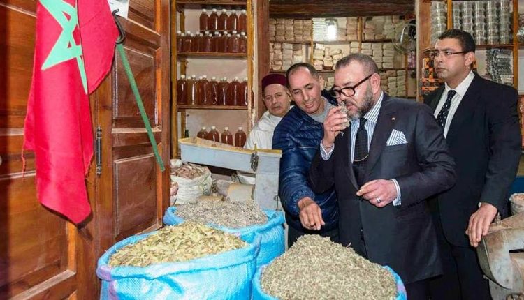 الجولة الملكية جعلت مراكش تزدهي ‏بإرثها المعماري والثقافي ‏
