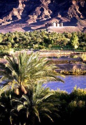 أخنوش يتفقد بالرشيدية سير برنامج غرس 3 ملايين نخلة