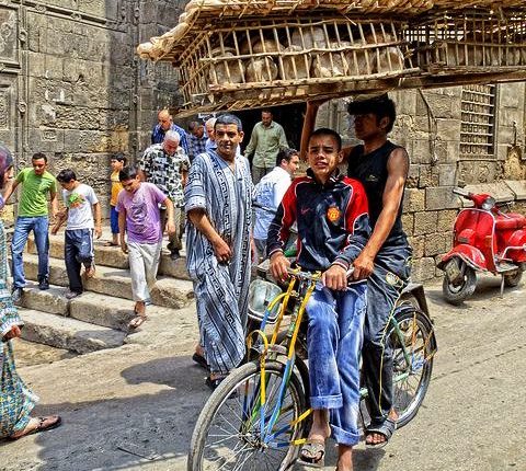 مصر تعلن عن أول إصابة بفيروس كورونا على أراضيها