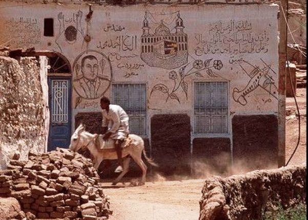 بسبب حمار، محكمة مصرية تُصدر أحكاما تصل إلى المؤبد