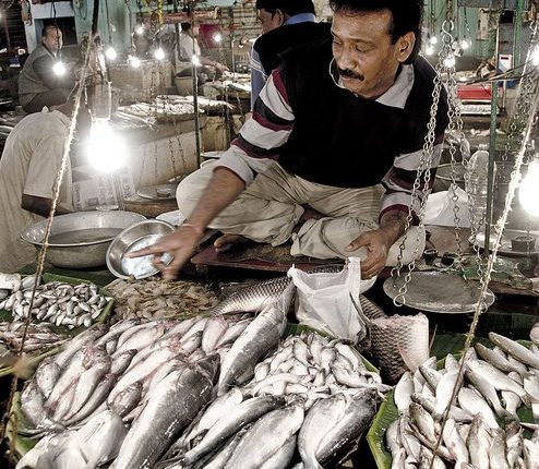 تسجيل 1900 طن يوميا من السمكـ، وإرتفاع في تموين أسواق بـ 25%
