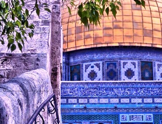 الدعم المغربي للقضية الفلسطينية مستمر تحت قيادة صاحب الجلالة