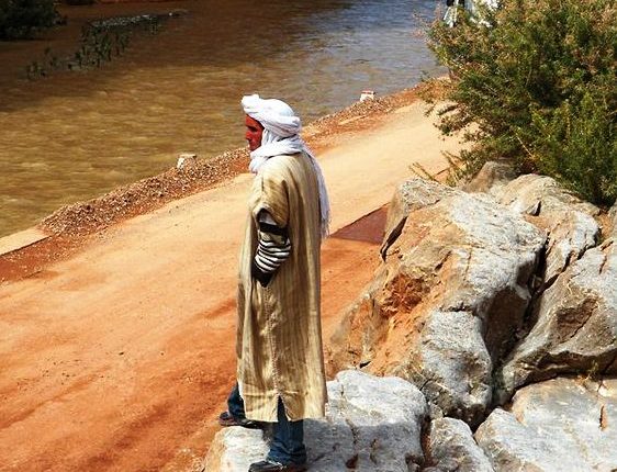 قطاع الفلاحة والغابة والصيد البحري يفقد 477 ألف منصب شغل