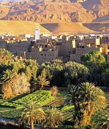 نظام معلوماتي متكامل لتدبير المساعدات والحوافز الزراعية ورقمنة الشبابيك