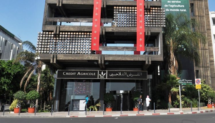 القرض الفلاحي للمغرب يؤكد دعمه التام للفيدراليات البيمهنية