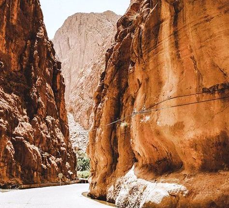 اكتشاف حياة ميكروبية بالمغرب يعود تاريخها إلى 570 مليون سنة