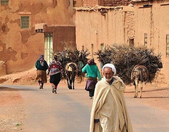 1.5 مليار درهم من المعاشات،مصاريف الصندوق الوطني للتقاعد والتأمين بسنة 2020