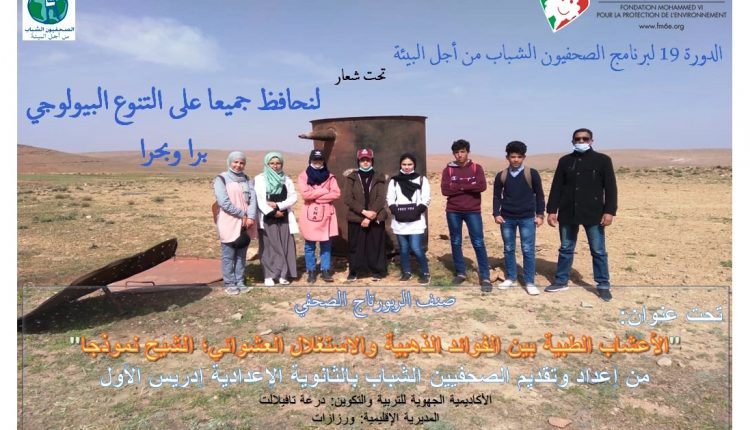 “الأعشاب الطبية بين الفوائد الذهبية والاستغلال العشوائي، والشيح في منطقة إزناكن بورزازات نموذجا