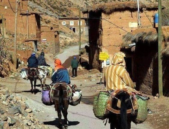 وزارة الداخلية تدعو إلى تقليص منازعات الجماعات الترابية