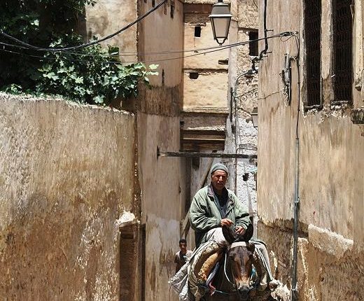 عالم قروي 1
