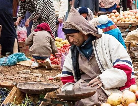 لحوم مواذ غذائية خضروات (2)