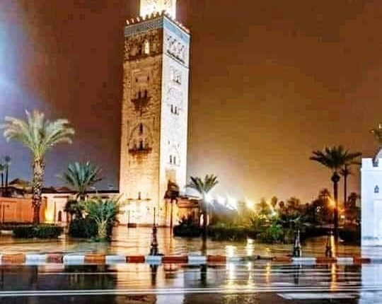 التساقطات المطرية الأخيرة تنقذ ما تبقى من الموسم الفلاحي