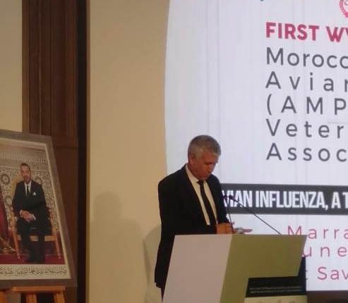 المؤتمر الإفريقي الأول بمراكش حول أمراض الدواجن يؤكد إنخراط المملكة في ”مبادرة AAA
