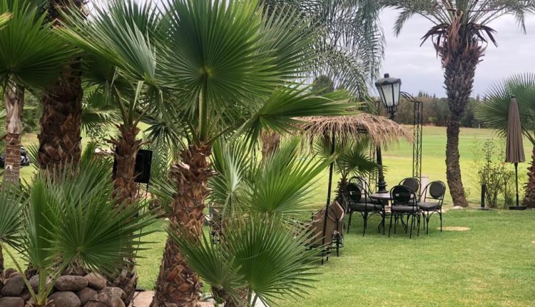ويدان (2)