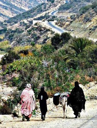 780 مليون دولار هي حافظة البنك الدولي الفعالة لدعم فلاحة المغرب