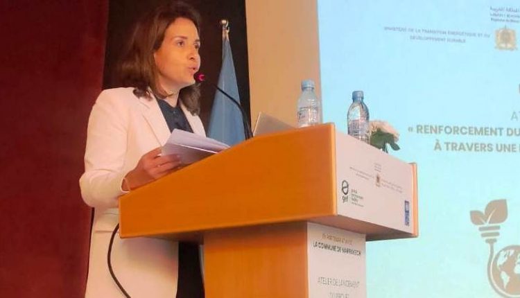 الإنتقال الطاقي والتنمية المستدامة في مراكش وسؤال الإمكانات (14)