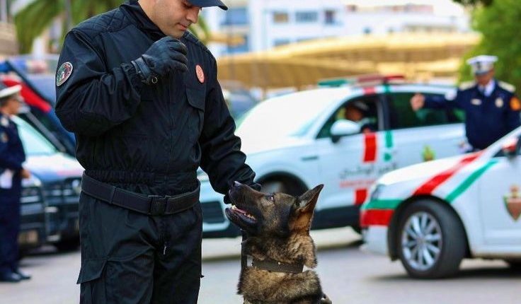 أمن مراكش يضع حداً لبزناس حي إسيل في مراكش