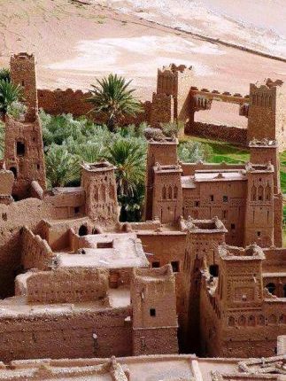 شق زهرية مراكش العلمي يضع فكر المهندسة سليمة الناجي تحت مجهر التقييم (2)