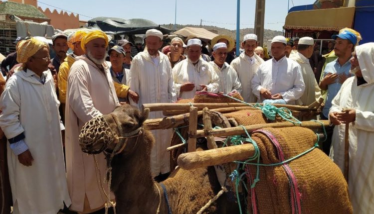 دور زوايا ركراكة نموذجا حيًّا للتصوف البناء المُساير لركب التنمية (4)