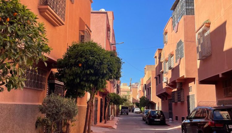 مراكش مدينة تتعطش للظلال، وللتشجير بدل التنخيل بالواشنطونية (11)