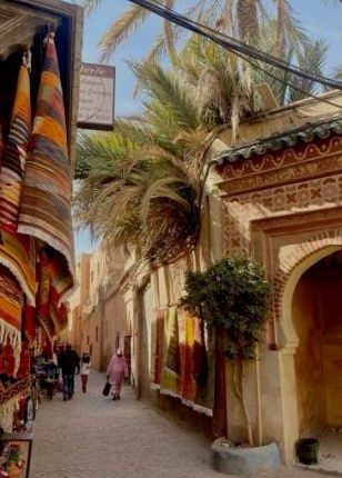 مراكش مدينة تتعطش للظلال، وللتشجير بدل التنخيل بالواشنطونية (8)